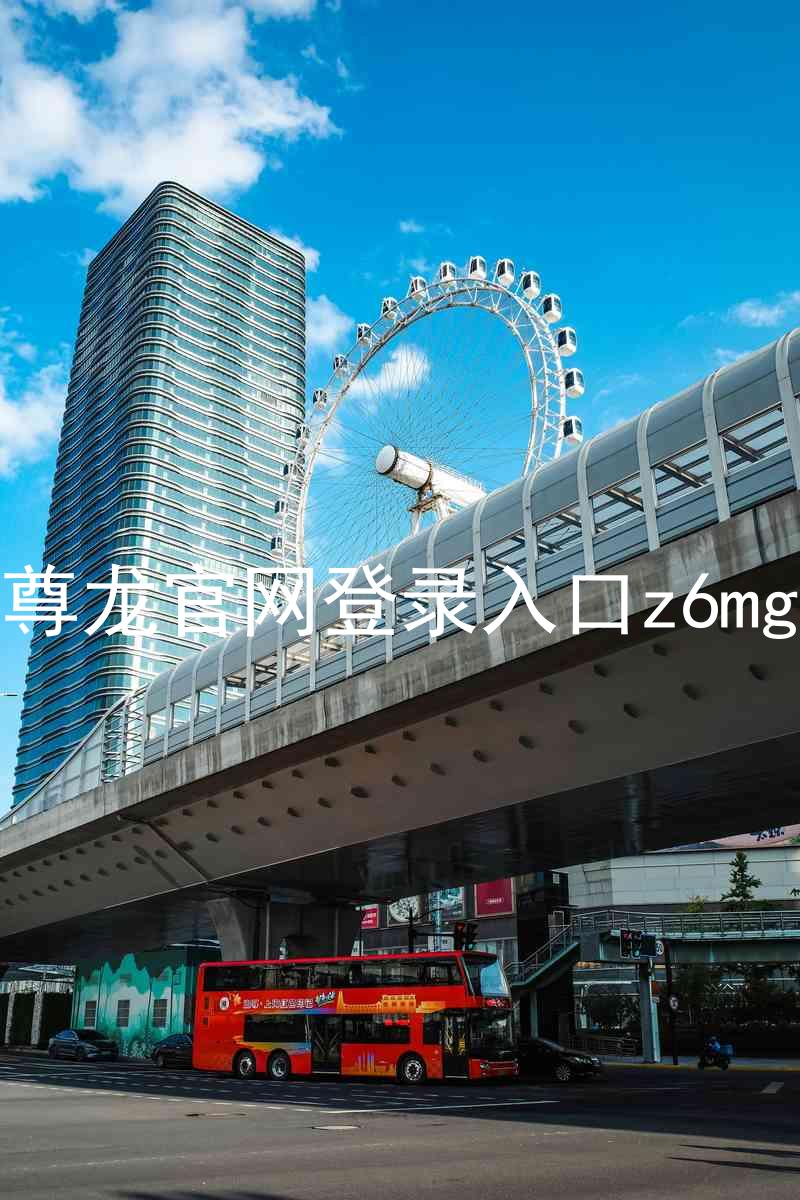 尊龙官网登录入口z6mg