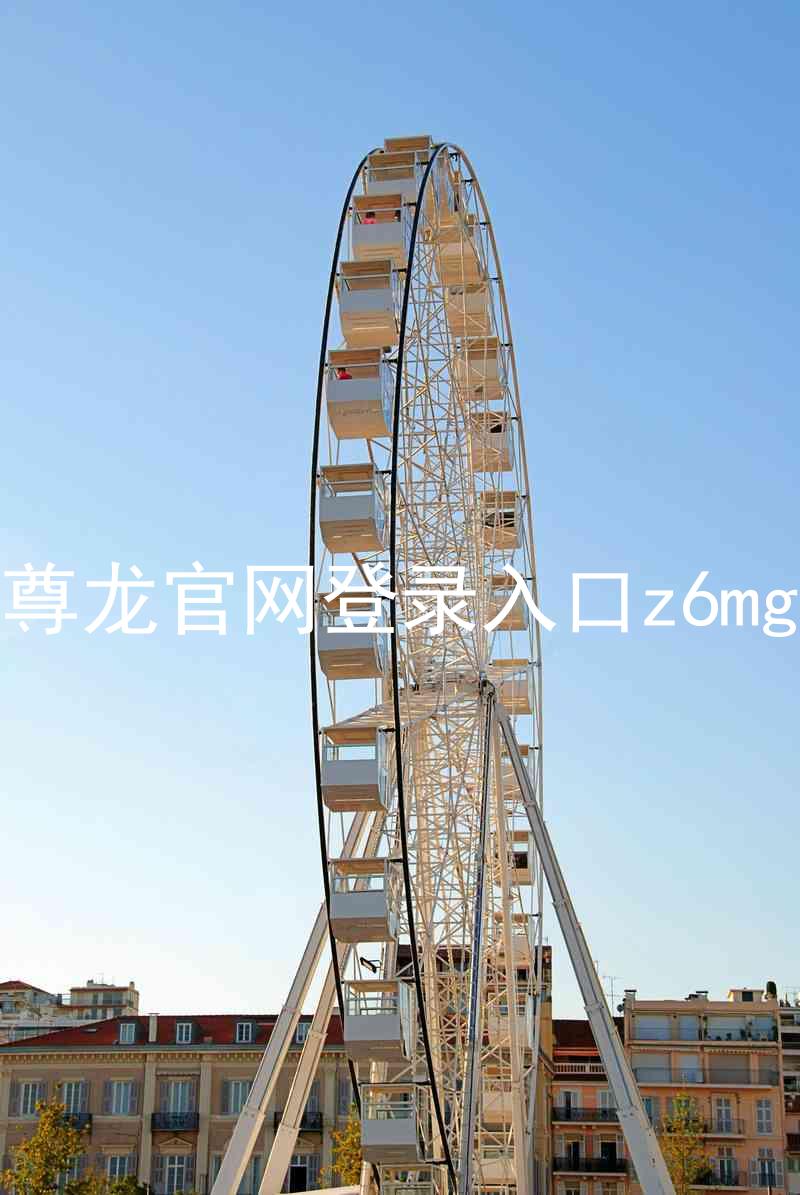 尊龙官网登录入口z6mg