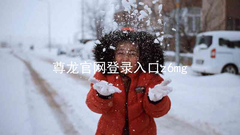 尊龙官网登录入口z6mg