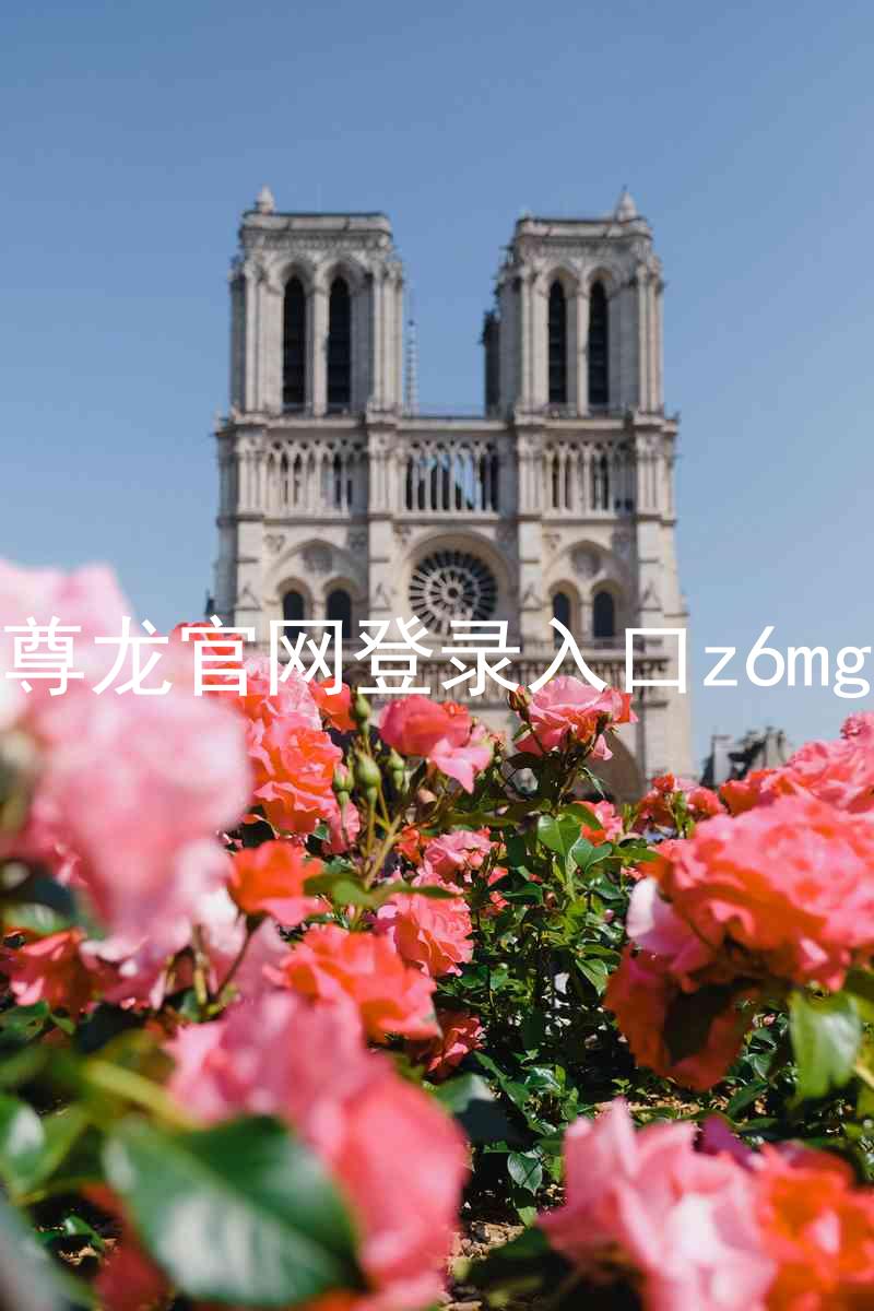 尊龙官网登录入口z6mg