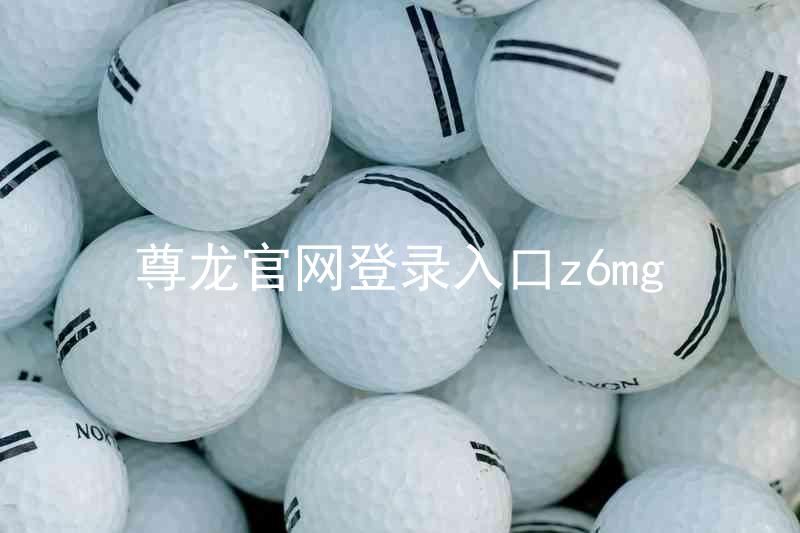 尊龙官网登录入口z6mg